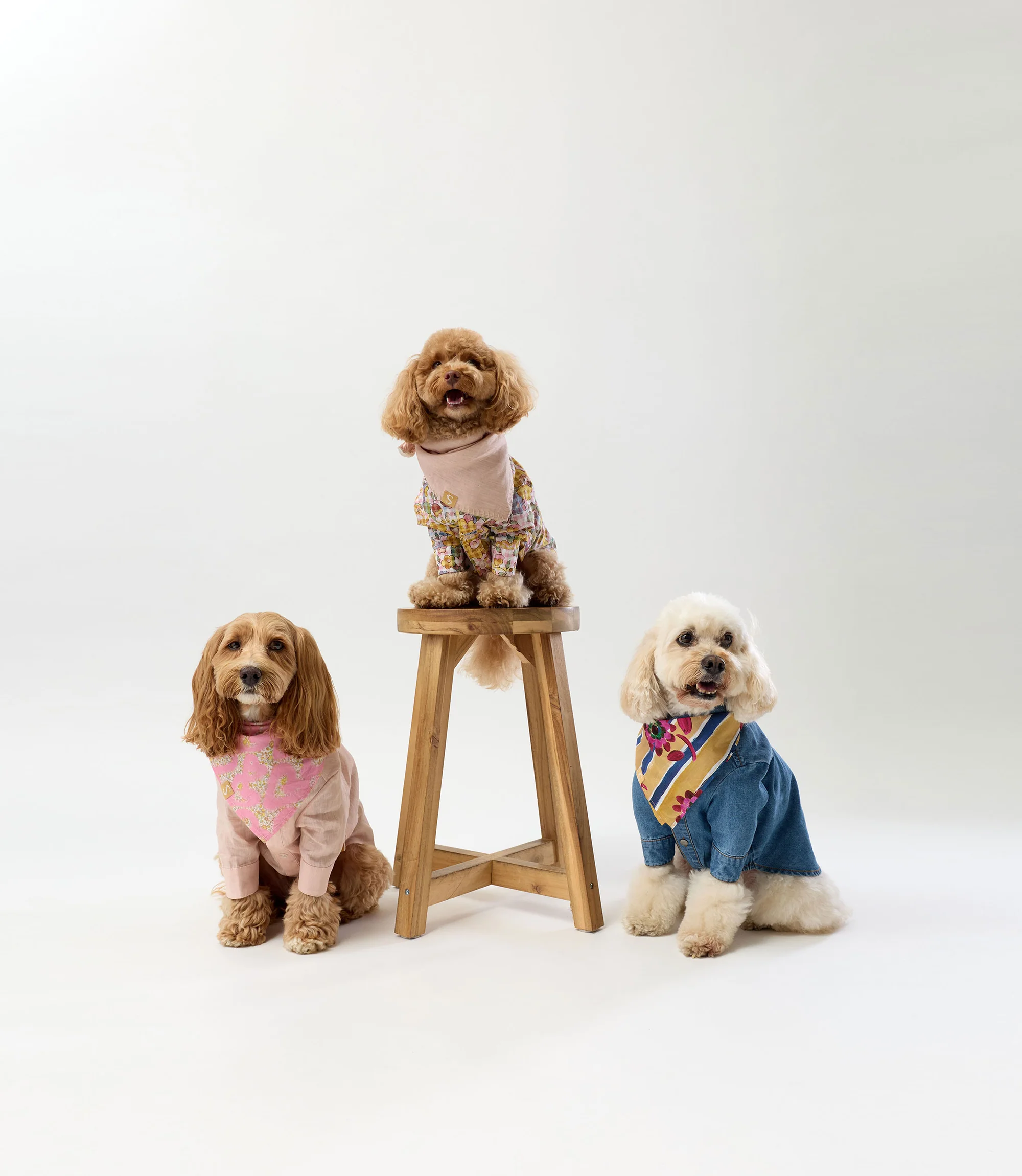 Welcome to Our Store